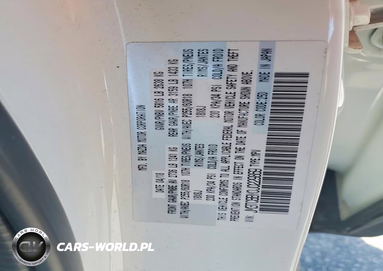 2018 Mazda Cx-9 Sport VIN:JM3TCBBY0J0229869 - 13
