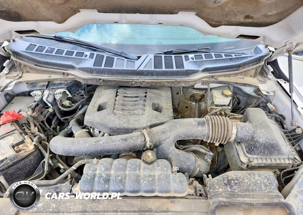 2021 Ford F150 Supercrew VIN:1FTFW1E80MFA66368 - 11
