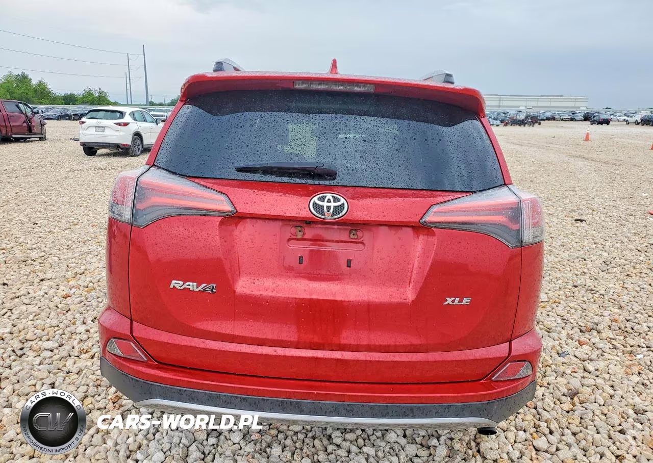 2016 Toyota Rav4 Xle VIN:2T3WFREV7GW289174 - 6