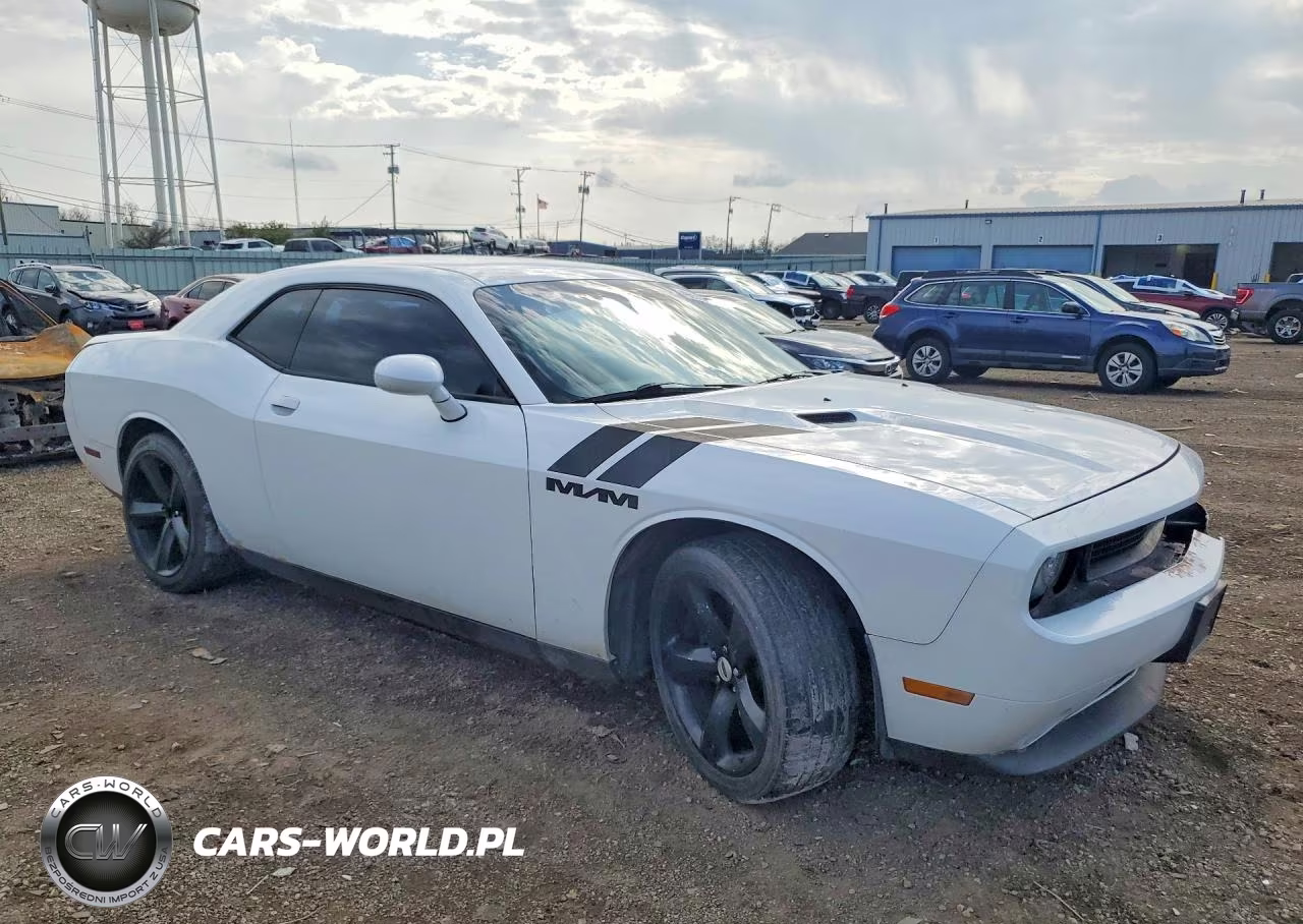 2014 Dodge Challenger Sxt VIN:2C3CDYAG4EH250280 - 4