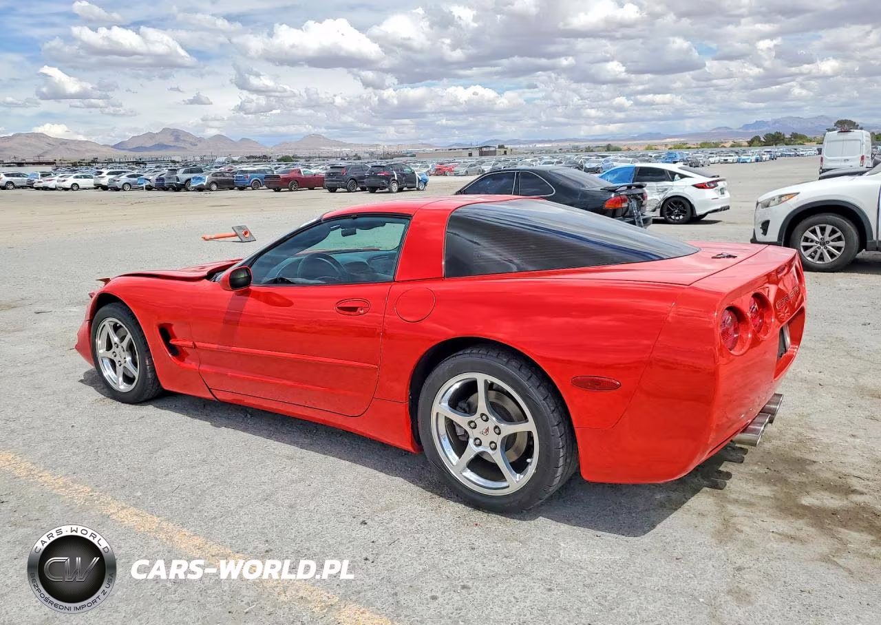 2004 Chevrolet Corvette VIN:1G1YY22G845112550 - 2
