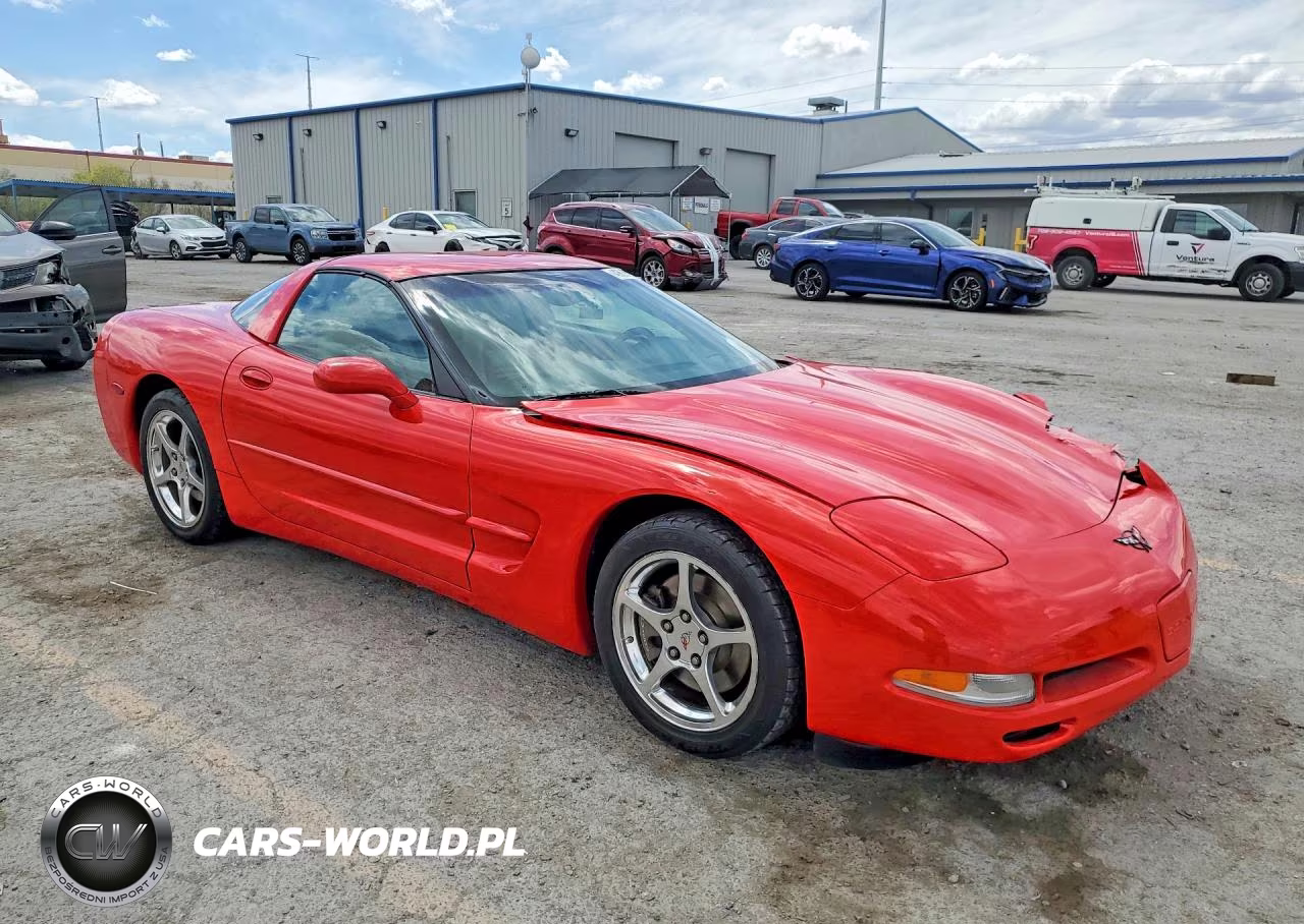 2004 Chevrolet Corvette VIN:1G1YY22G845112550 - 4