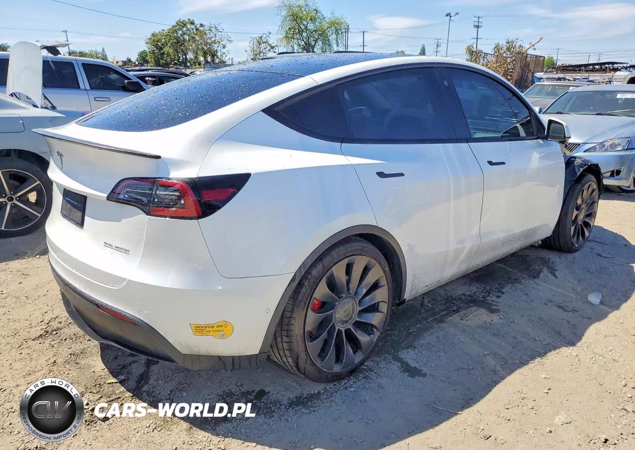 2022 Tesla Model Y VIN:7SAYGDEF0NF397305 - 3