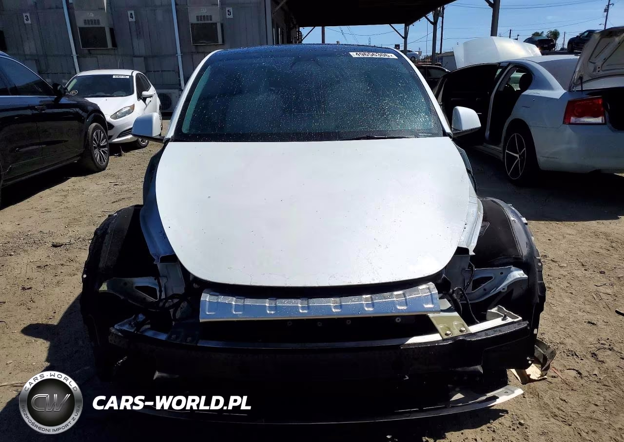 2022 Tesla Model Y VIN:7SAYGDEF0NF397305 - 5