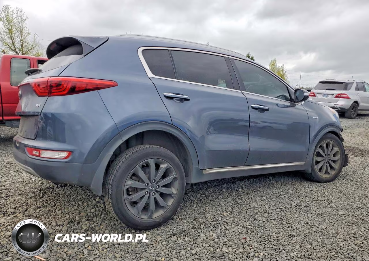 2019 Kia Sportage Ex VIN:KNDPNCAC0K7535687 - 3