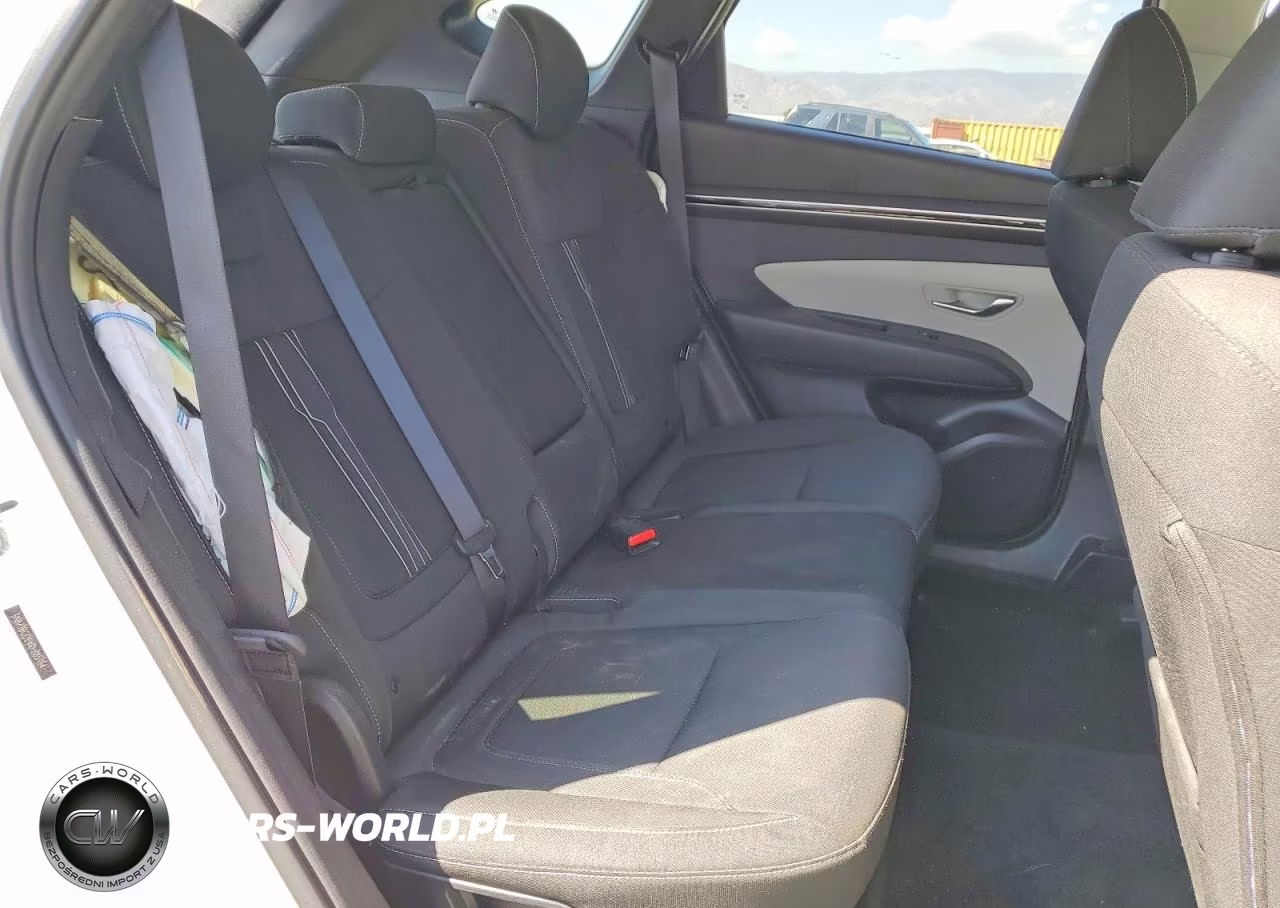 HYUNDAI TUCSON SEL VIN:5NMJBCDE4RH385954 - 11