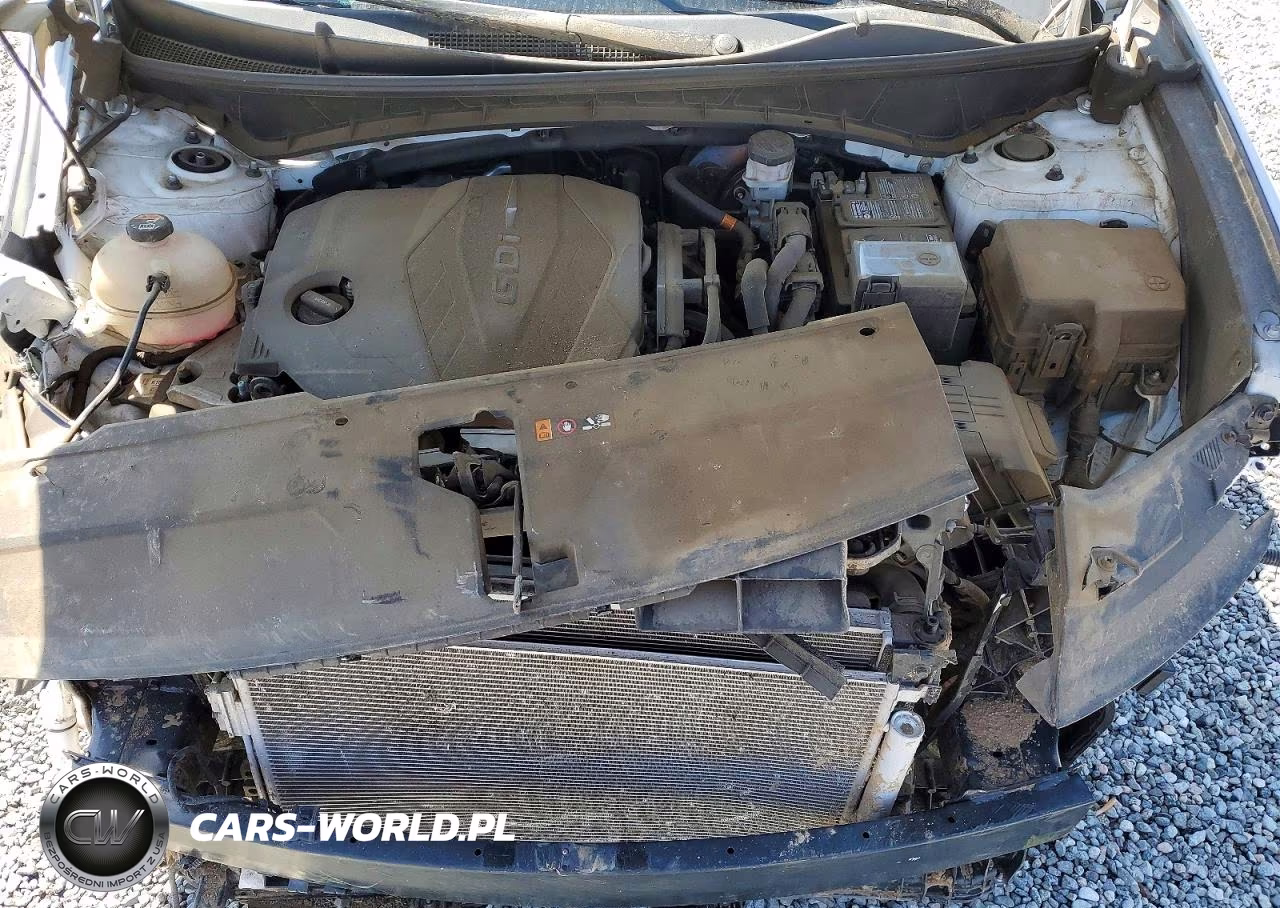 HYUNDAI TUCSON SEL VIN:5NMJBCDE4RH385954 - 12