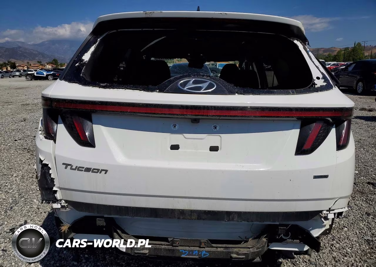 HYUNDAI TUCSON SEL VIN:5NMJBCDE4RH385954 - 6