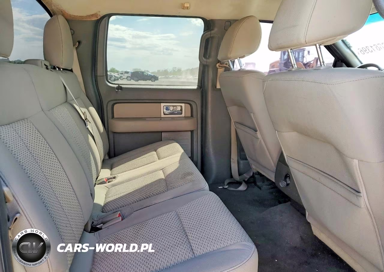 2010 Ford F150 Supercrew VIN:1FTEW1C87AKE45904 - 10