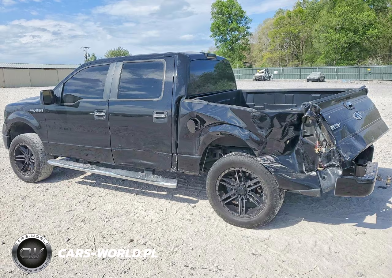 2010 Ford F150 Supercrew VIN:1FTEW1C87AKE45904 - 2