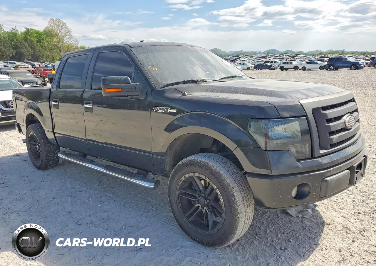 2010 Ford F150 Supercrew VIN:1FTEW1C87AKE45904 - 4