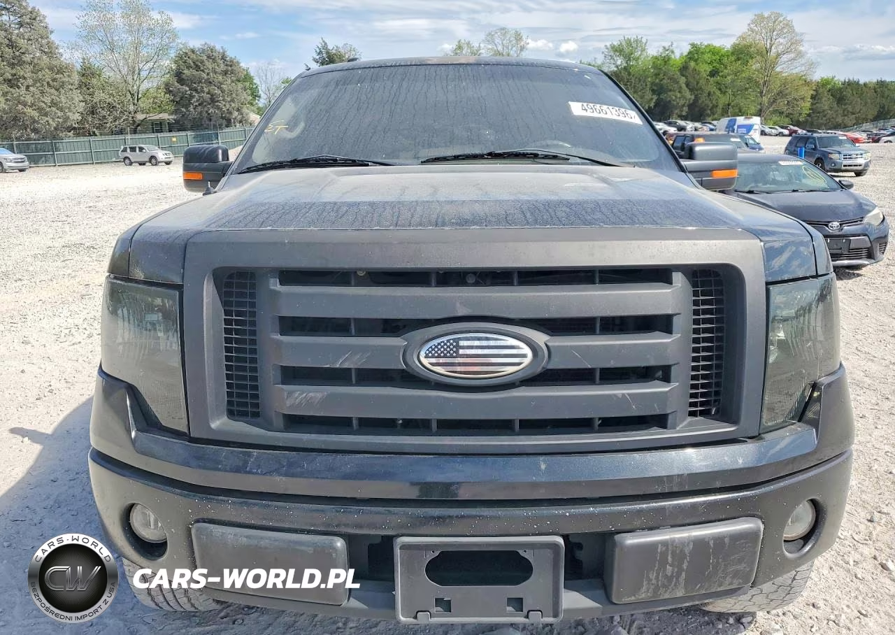 2010 Ford F150 Supercrew VIN:1FTEW1C87AKE45904 - 5