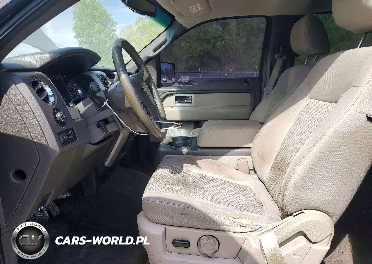 2010 Ford F150 Supercrew VIN:1FTEW1C87AKE45904 - 7