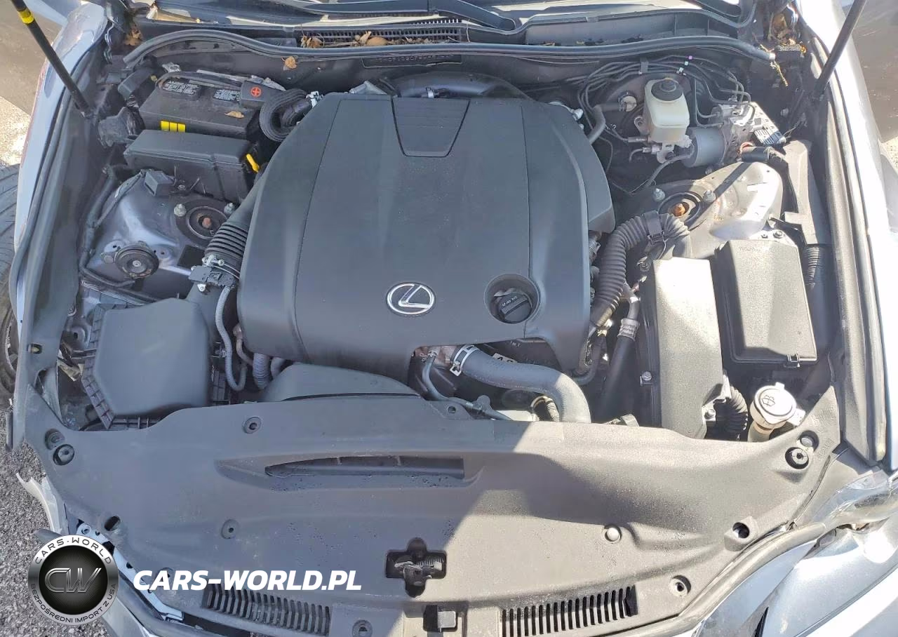 LEXUS IS 250 VIN:JTHCF1D20F5025701 - 11
