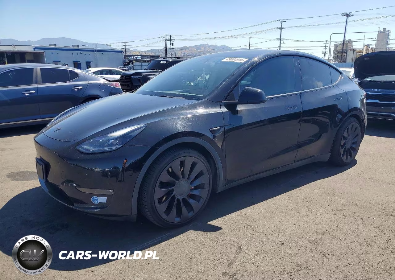 2021 Tesla Model Y