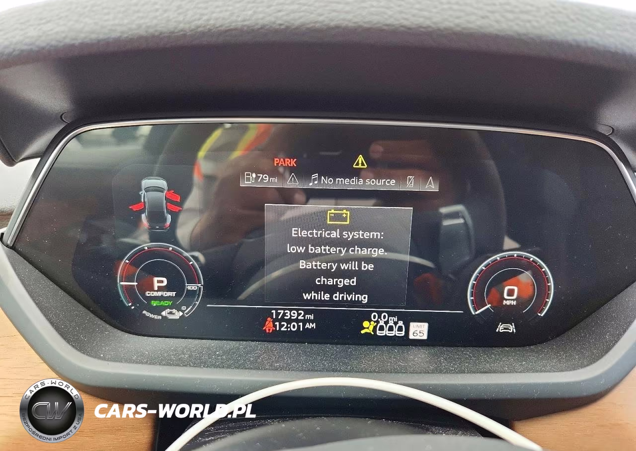 2022 Audi E-Tron Gt Premium Plus VIN:WAUFJBFWXN7010450 - 9