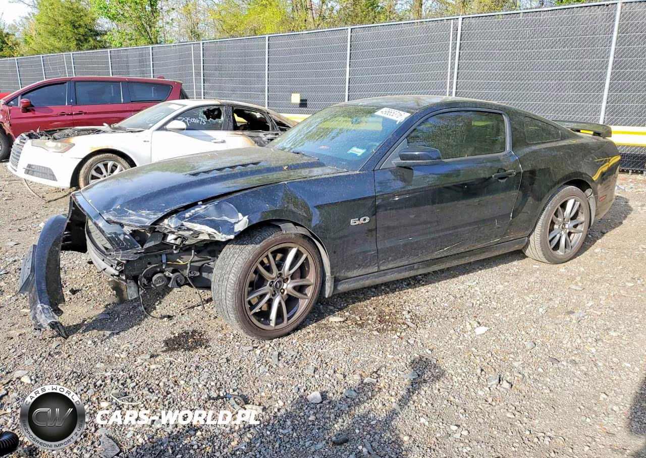 2014 Ford Mustang Gt – zdjęcie 1 z 12