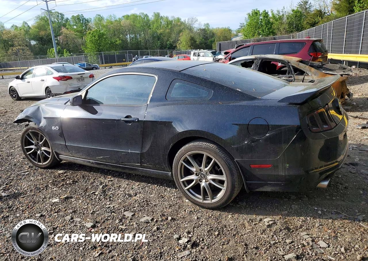 2014 Ford Mustang Gt VIN:1ZVBP8CF2E5268591 - 2