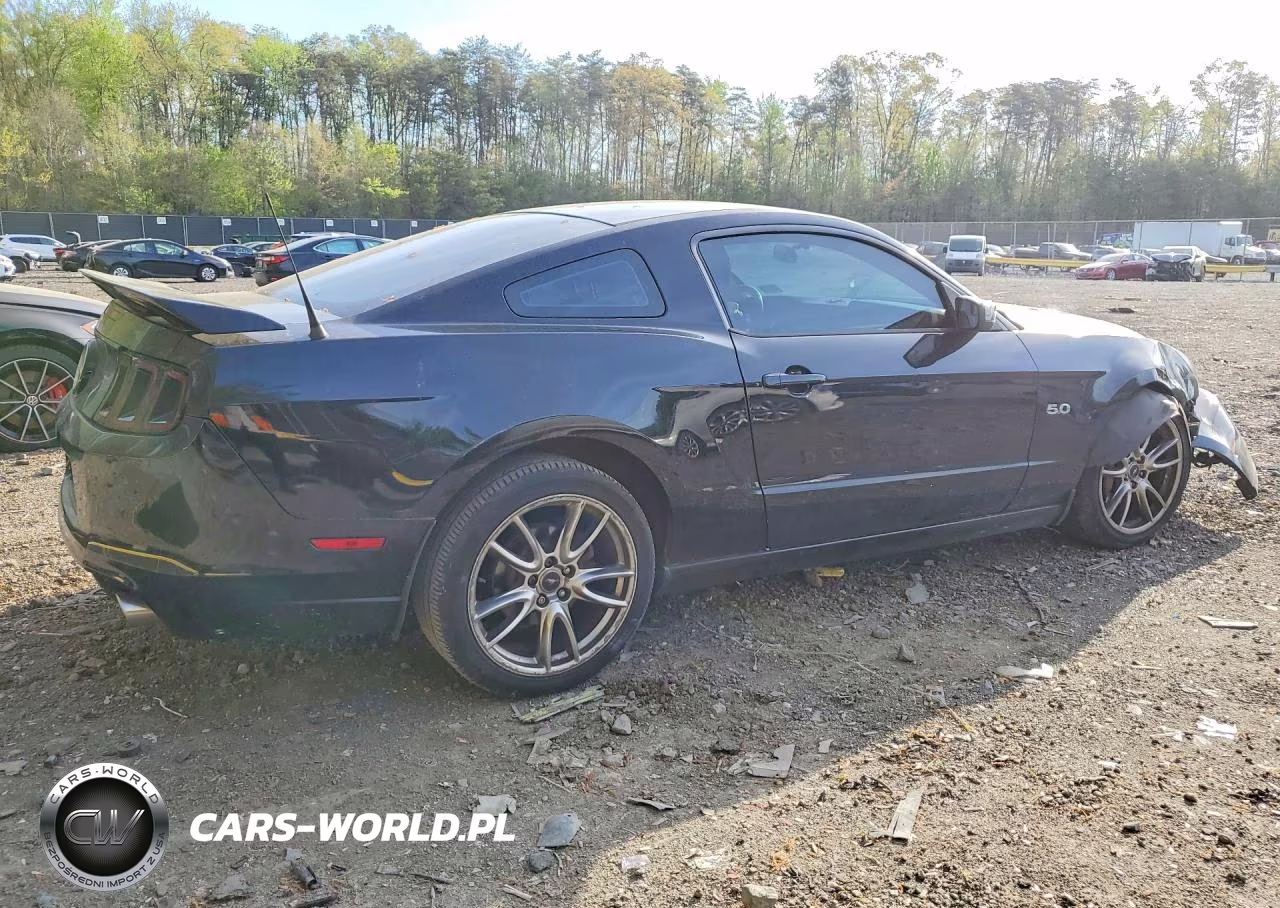 2014 Ford Mustang Gt VIN:1ZVBP8CF2E5268591 - 3