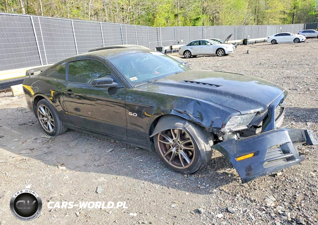 2014 Ford Mustang Gt VIN:1ZVBP8CF2E5268591 - 4