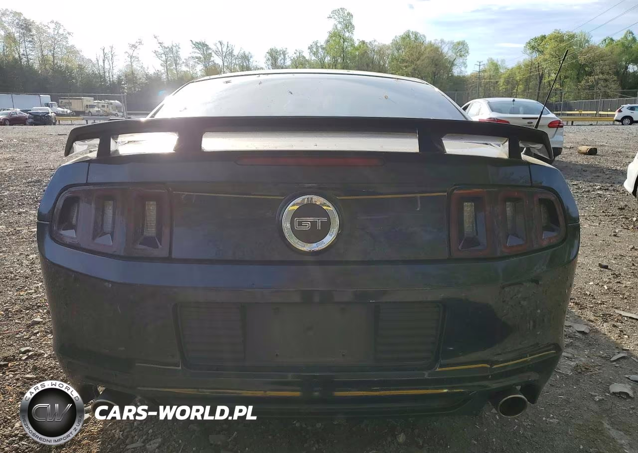 2014 Ford Mustang Gt VIN:1ZVBP8CF2E5268591 - 6