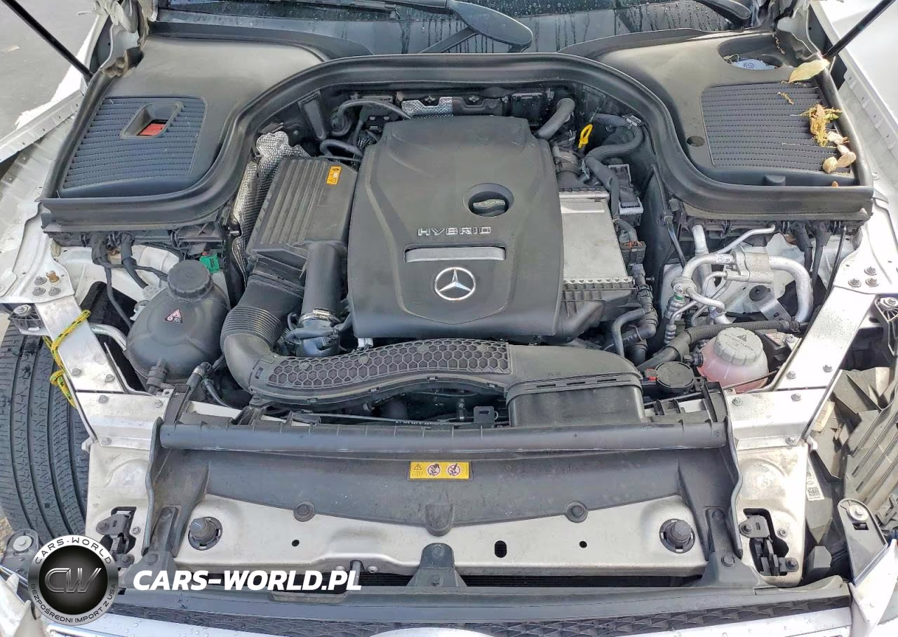 2019 Mercedes-Benz Glc 350E VIN:WDC0G5EB5KF567253 - 12