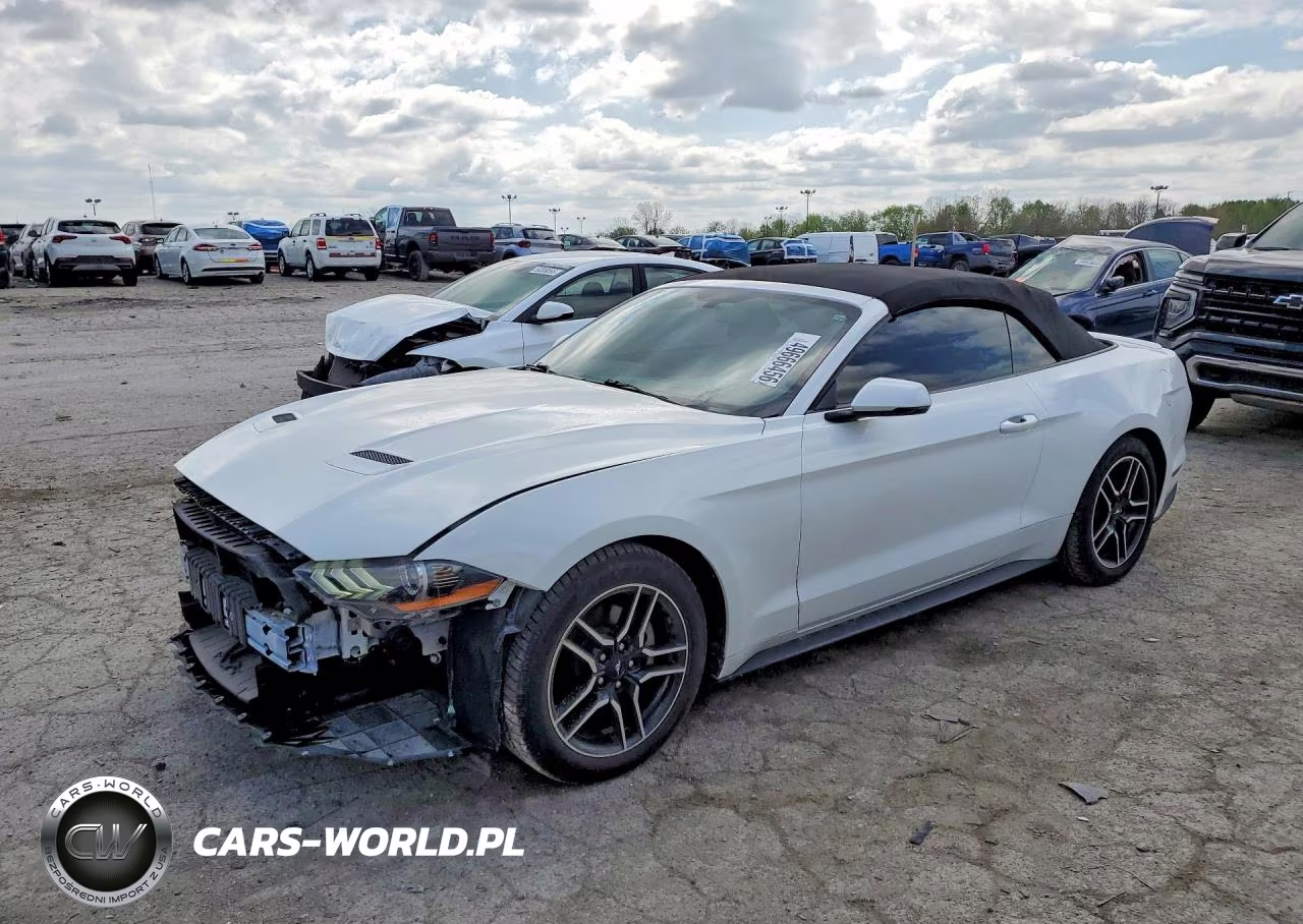 2019 Ford Mustang
