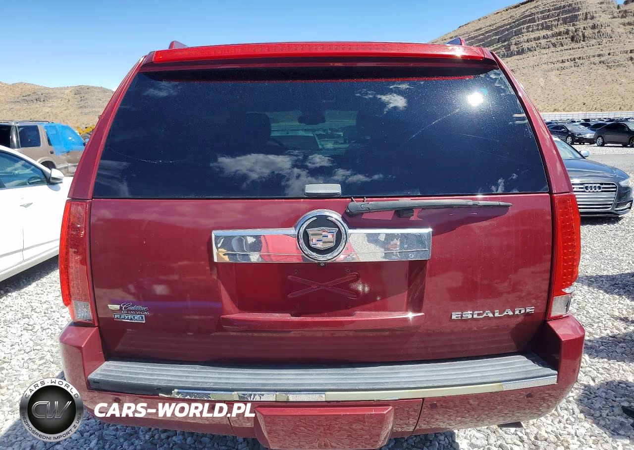 2009 Cadillac Escalade Luxury VIN:1GYFK23269R233123 - 6
