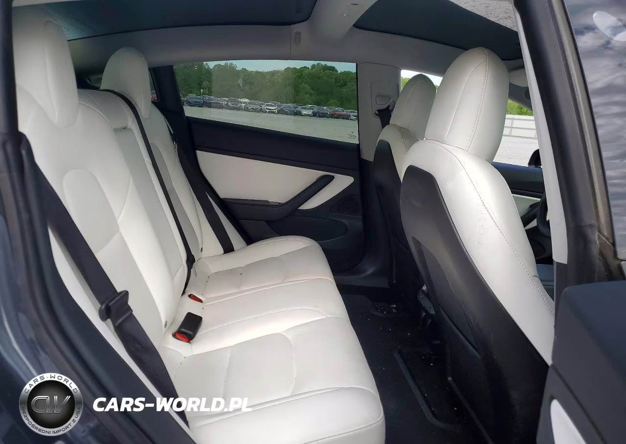 2020 Tesla Model 3 VIN:5YJ3E1EC9LF624523 - 10