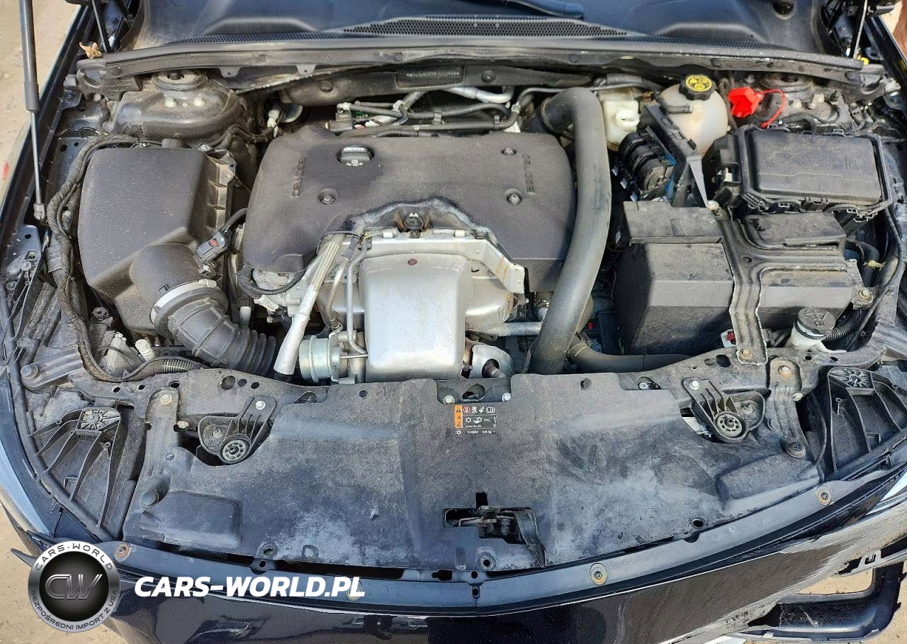 2019 Buick Regal Tourx Preferred VIN:W04GU8SX5K1002555 - 12