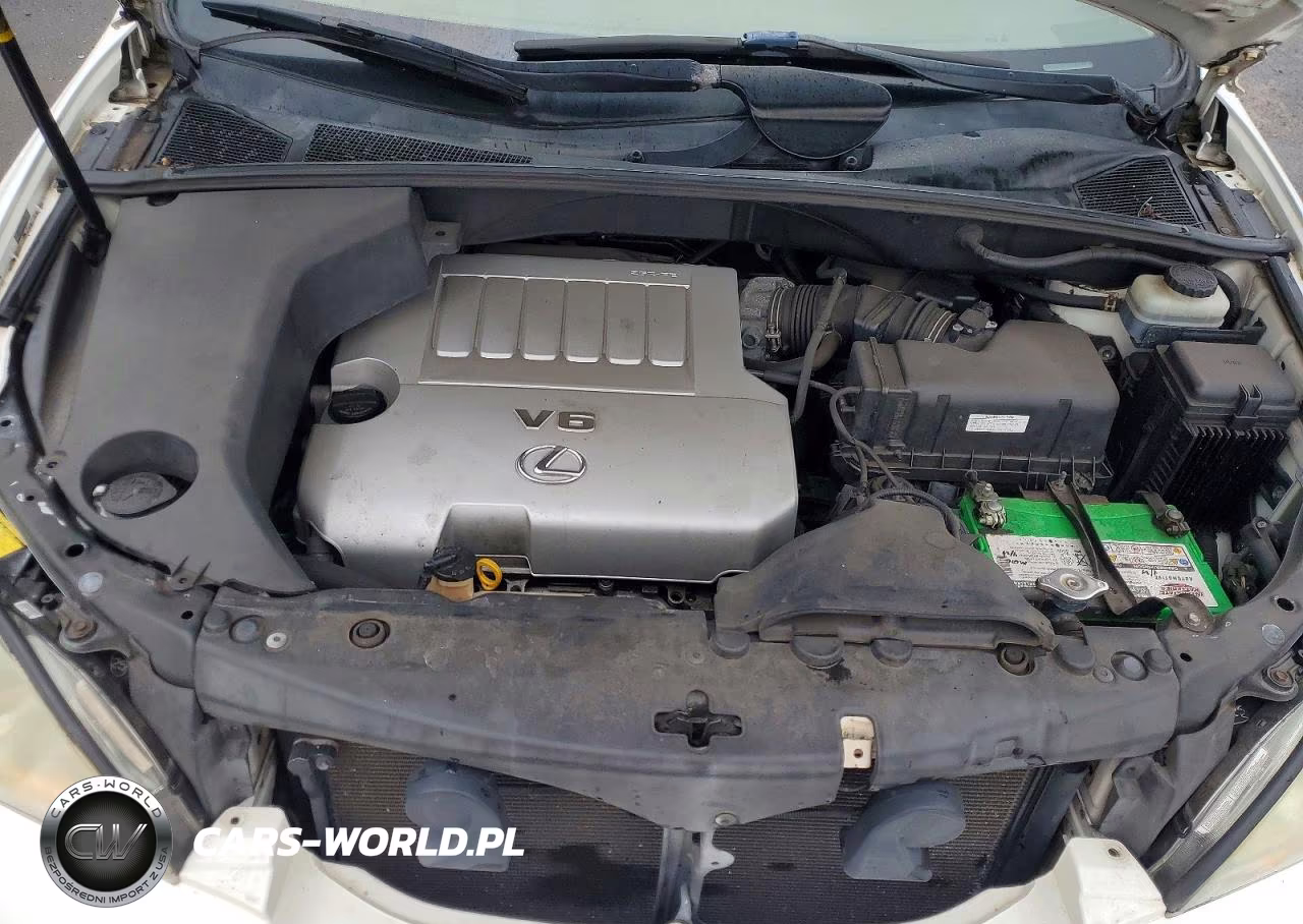 2008 Lexus Rx 350 VIN:JTJGK31U080012931 - 12