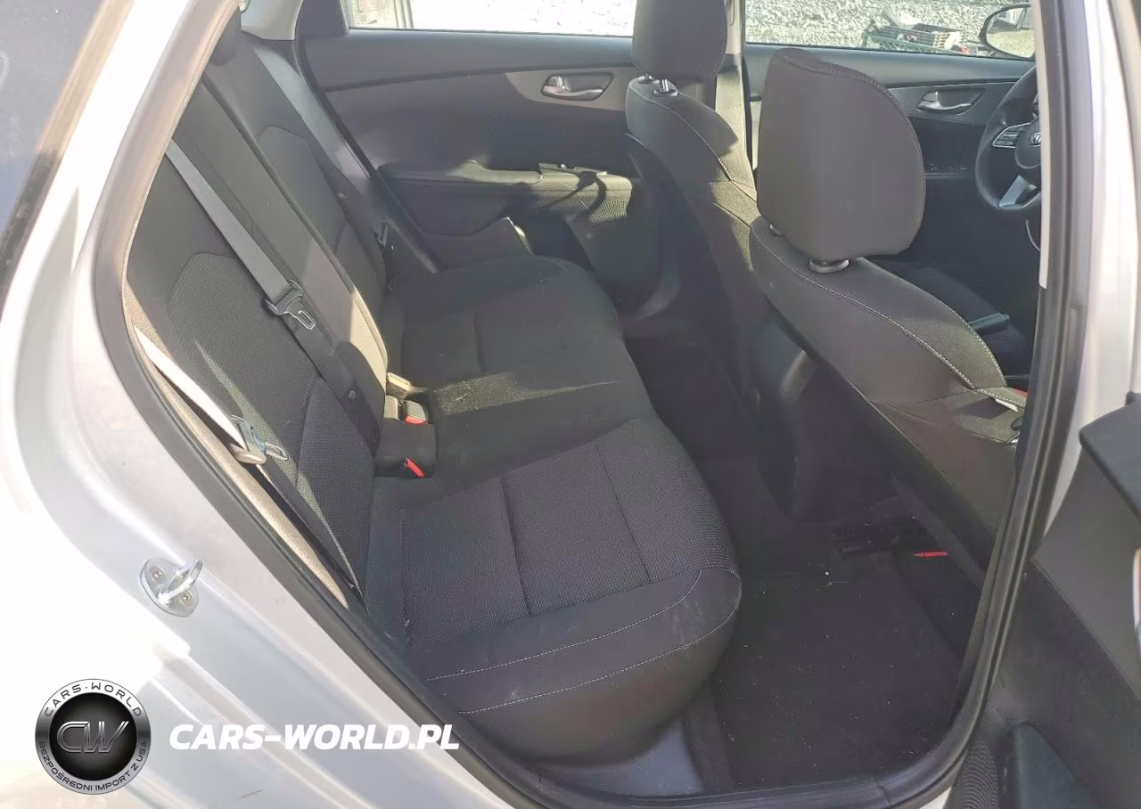 2019 Kia Forte Lxs VIN:3KPF24AD3KE044789 - 10