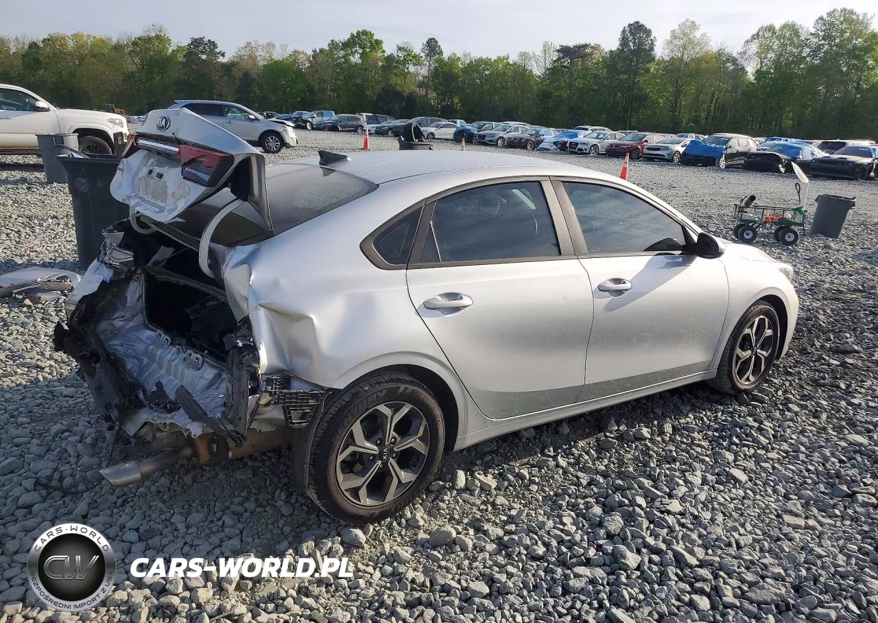 2019 Kia Forte Lxs VIN:3KPF24AD3KE044789 - 3