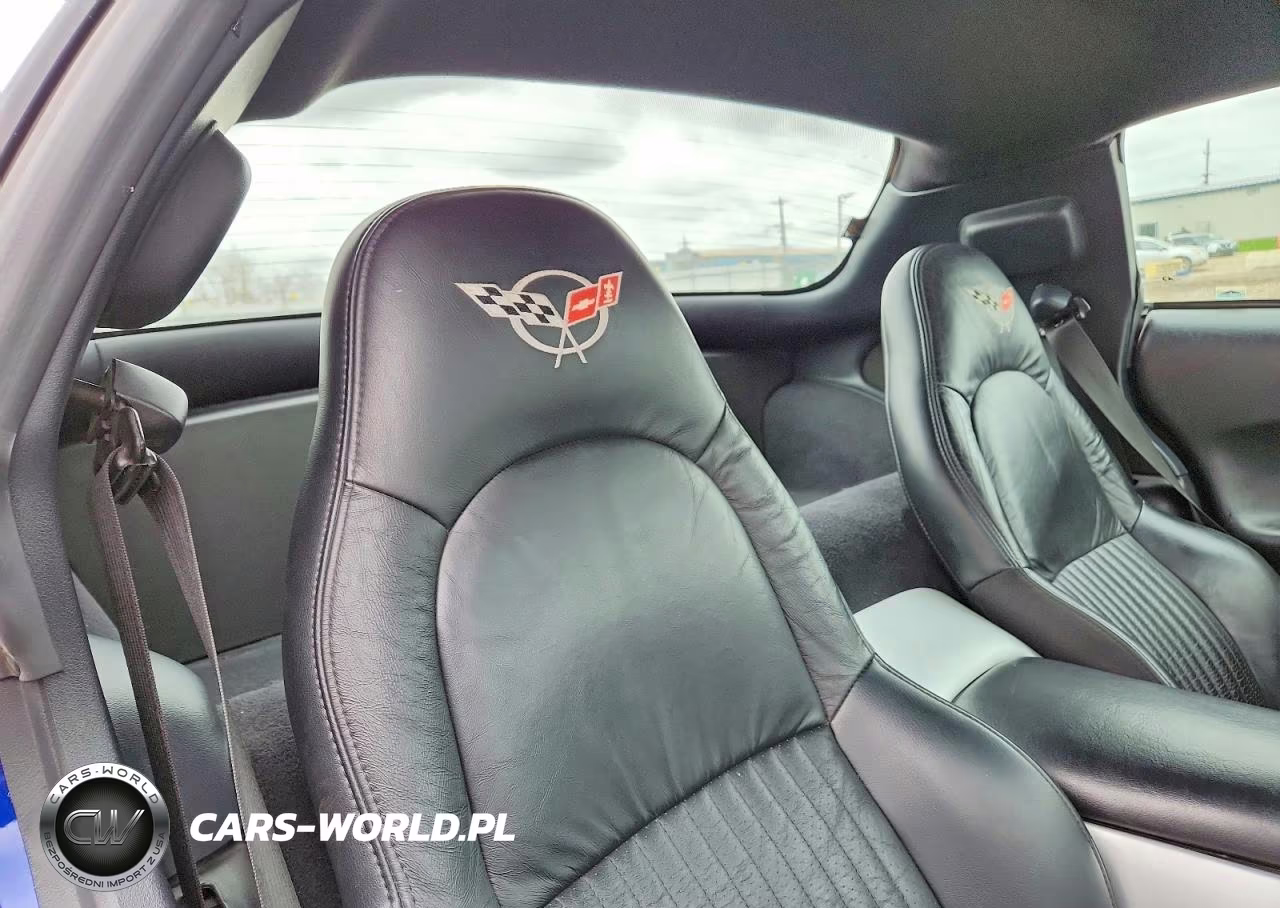 2004 Chevrolet Corvette Z06 VIN:1G1YY12S545101925 - 10