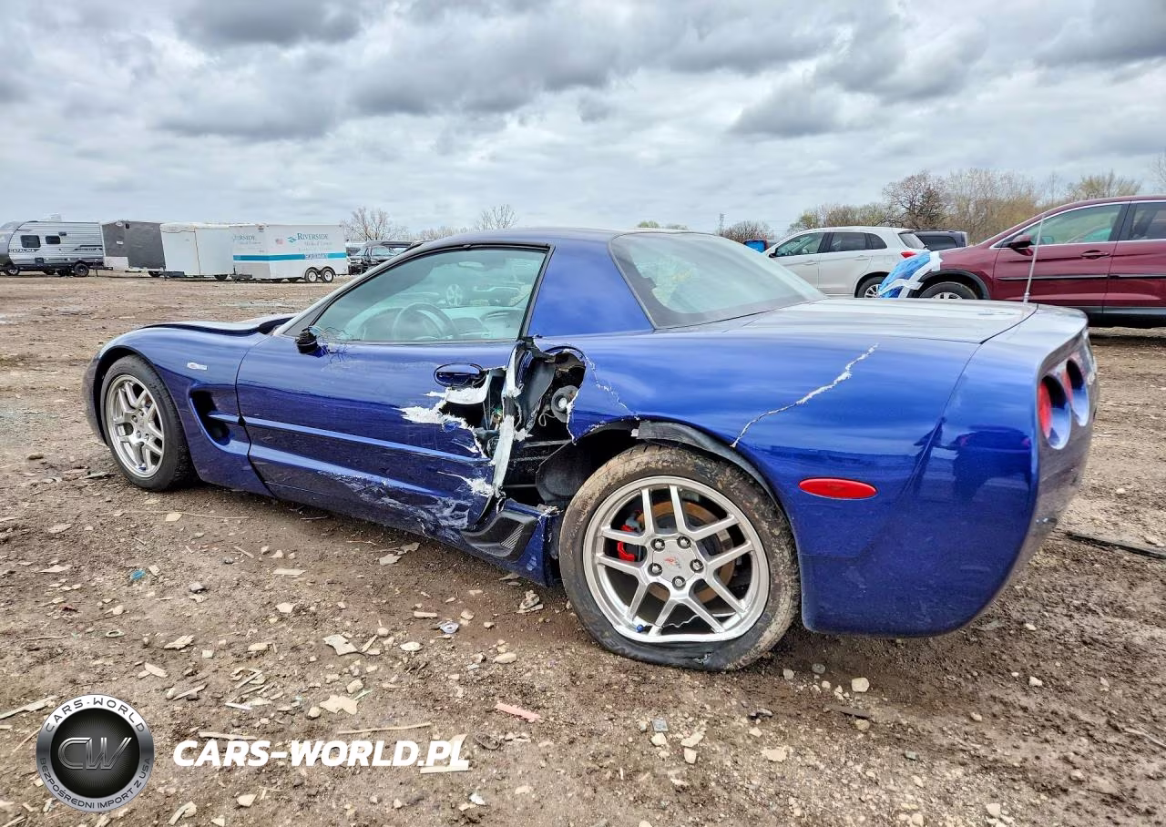 2004 Chevrolet Corvette Z06 VIN:1G1YY12S545101925 - 2