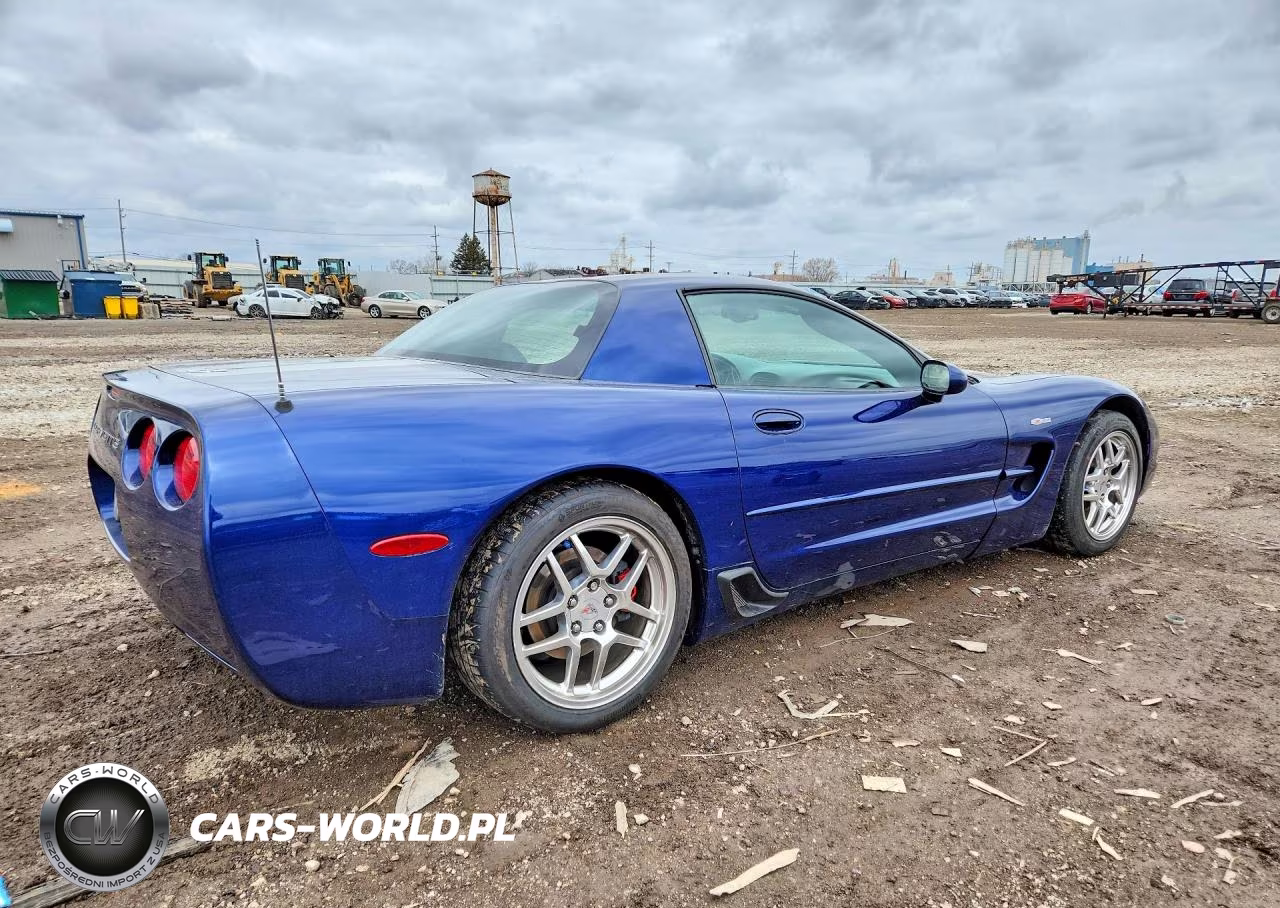 2004 Chevrolet Corvette Z06 VIN:1G1YY12S545101925 - 3