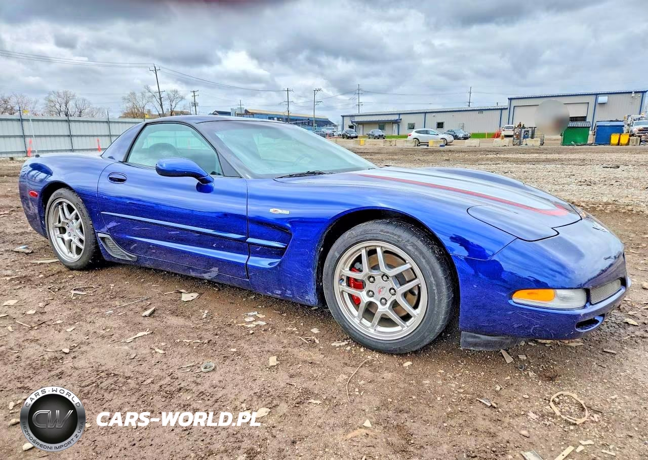 2004 Chevrolet Corvette Z06 VIN:1G1YY12S545101925 - 4