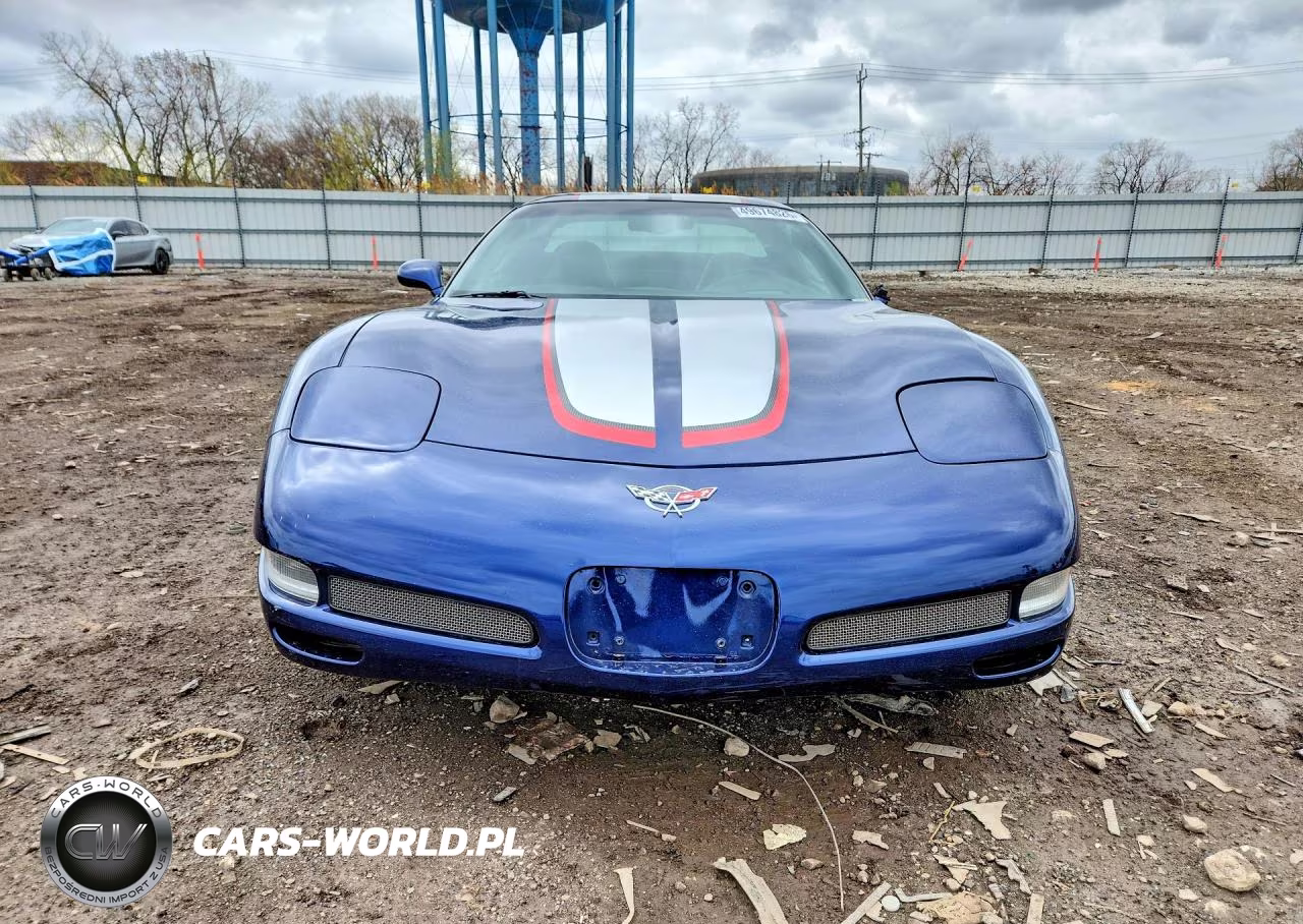 2004 Chevrolet Corvette Z06 VIN:1G1YY12S545101925 - 5
