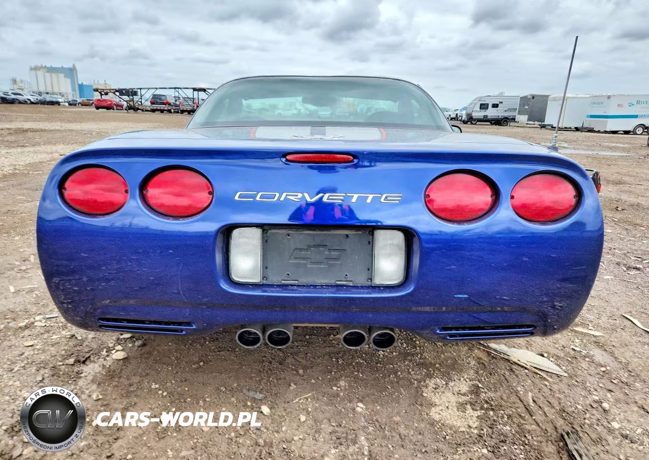 2004 Chevrolet Corvette Z06 VIN:1G1YY12S545101925 - 6