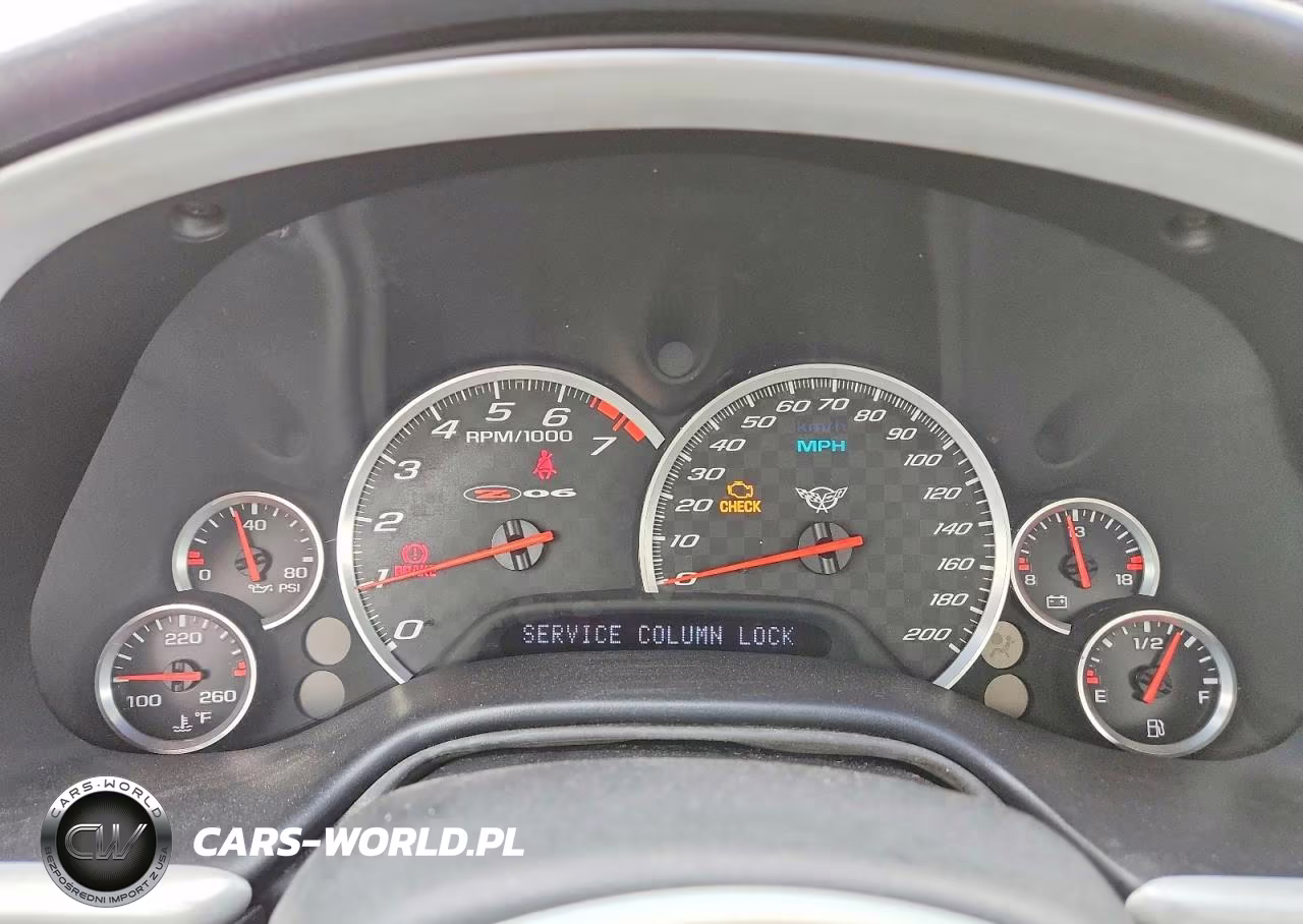 2004 Chevrolet Corvette Z06 VIN:1G1YY12S545101925 - 9