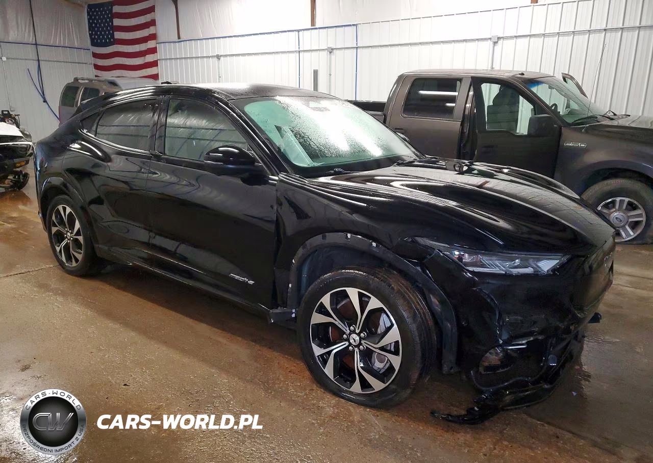 2021 Ford Mustang Mach-E Premium VIN:3FMTK3RMXMMA01900 - 4