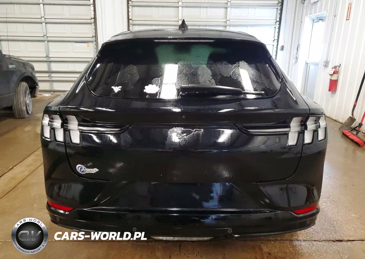 2021 Ford Mustang Mach-E Premium VIN:3FMTK3RMXMMA01900 - 6