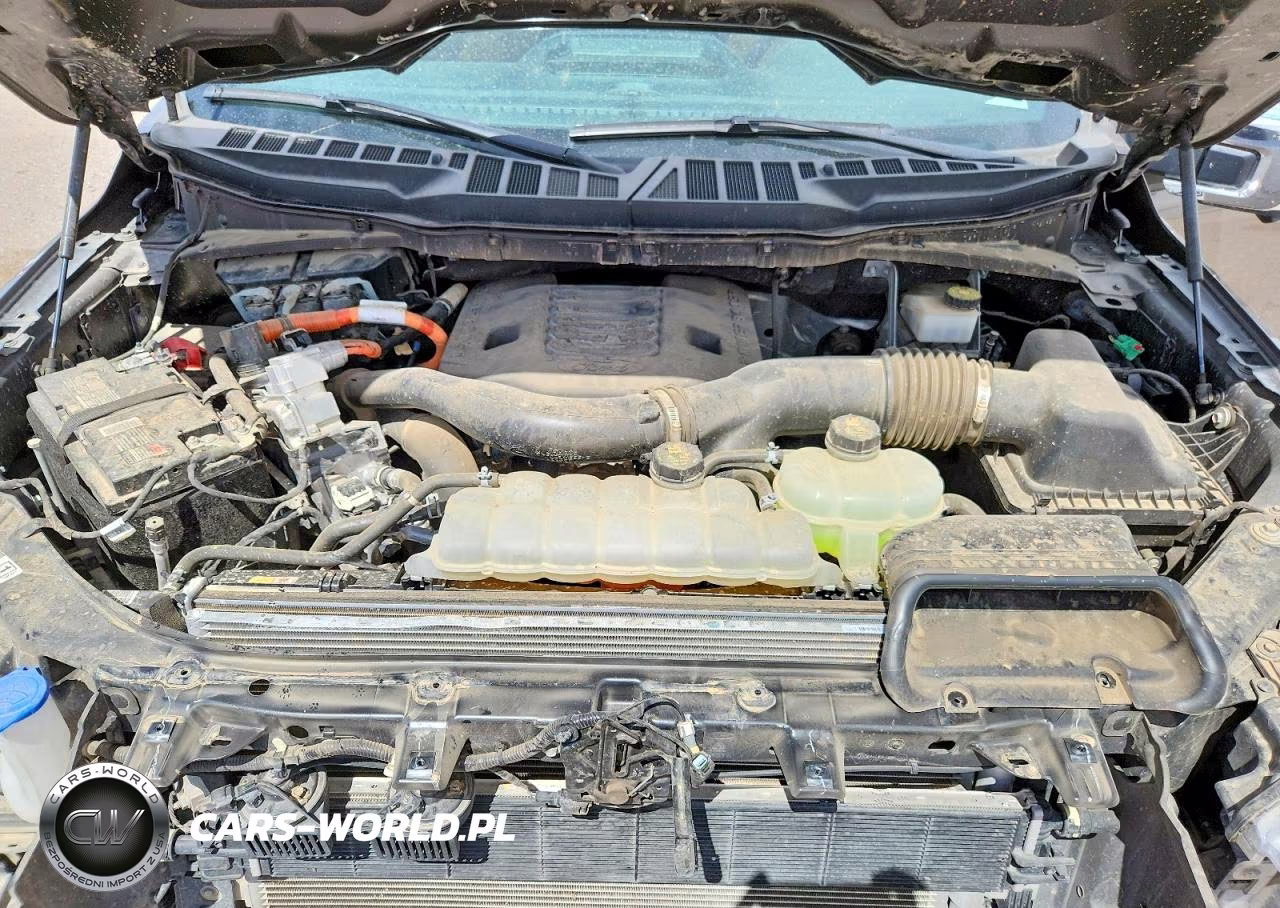 2023 Ford F150 Supercrew VIN:1FTFW1EDXPFC95643 - 11