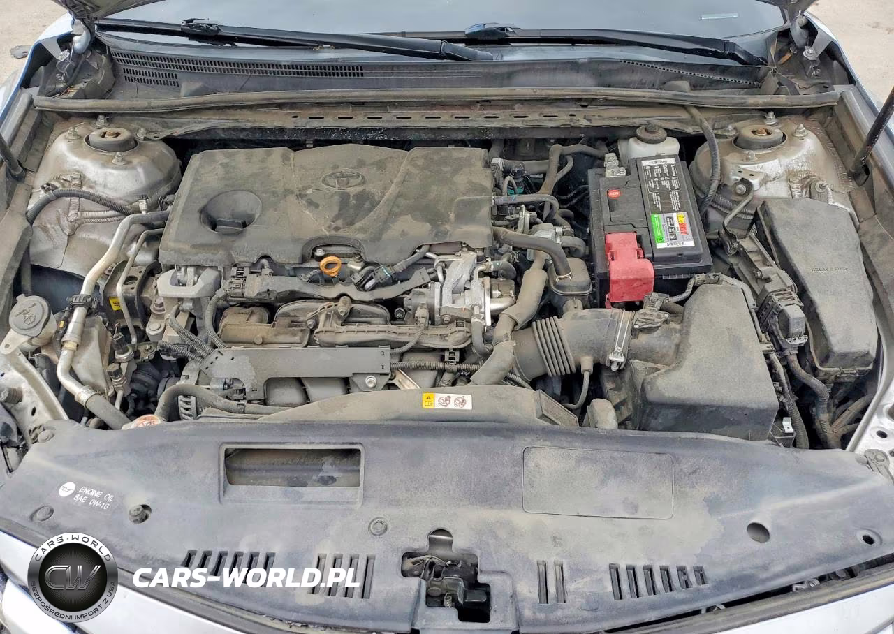 2019 Toyota Camry Le VIN:4T1B11HK3KU252253 - 11