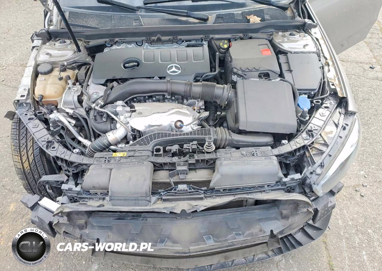 2020 Mercedes-Benz A 220 4Matic VIN:WDD3G4FB7LW039796 - 11