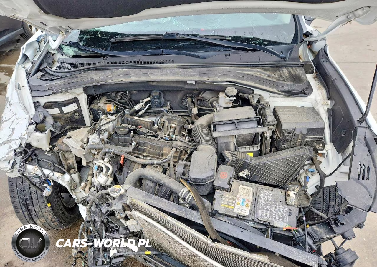 2019 Hyundai Santa Fe Se VIN:5NMS23AD7KH112030 - 12