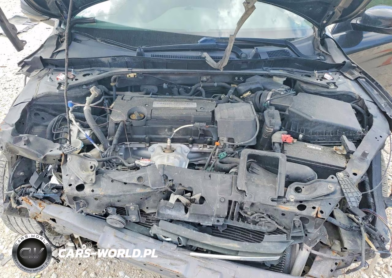 2014 Honda Accord Exl VIN:1HGCR2F89EA180089 - 11