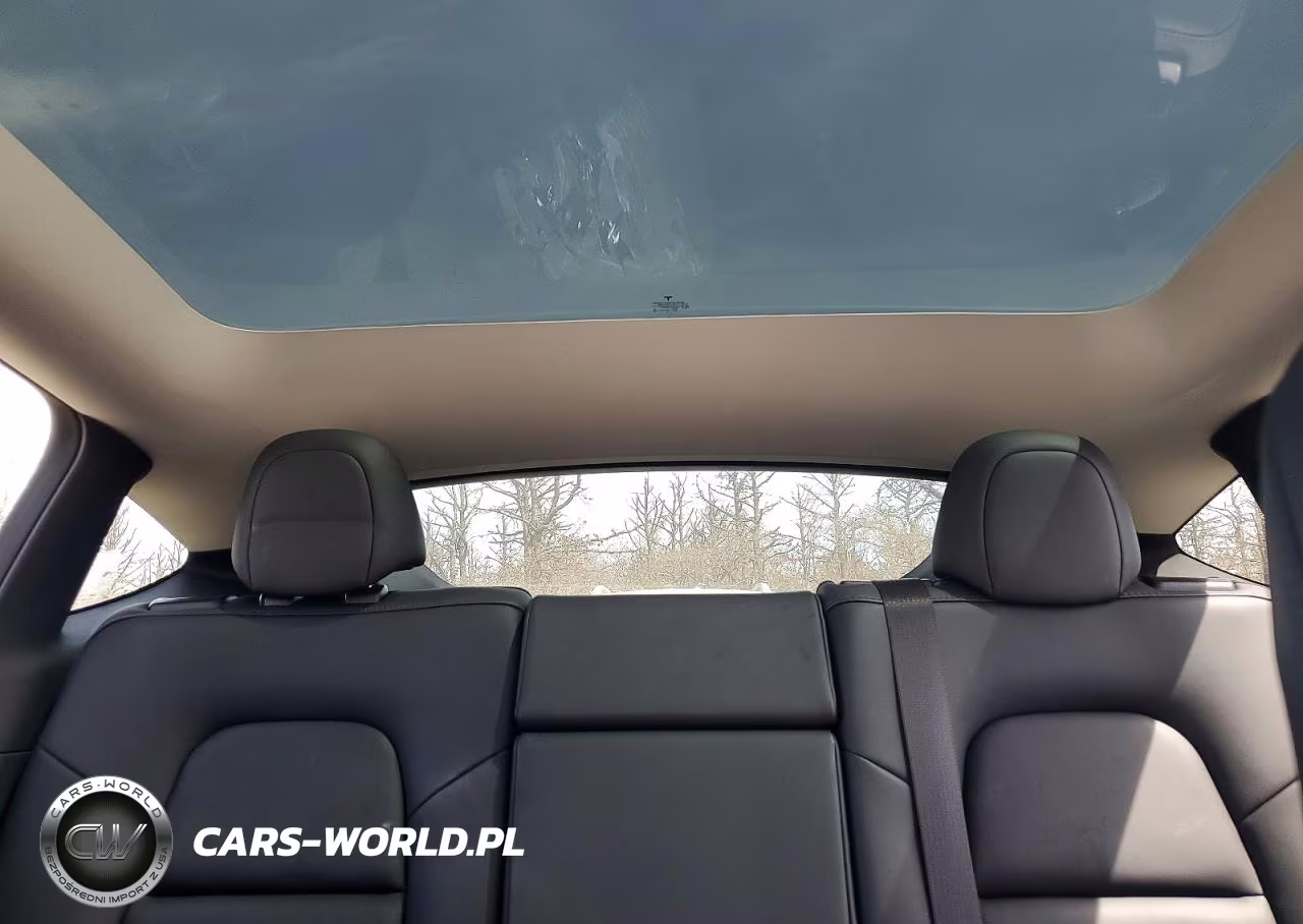2023 Tesla Model Y VIN:7SAYGAEE2PF836805 - 10