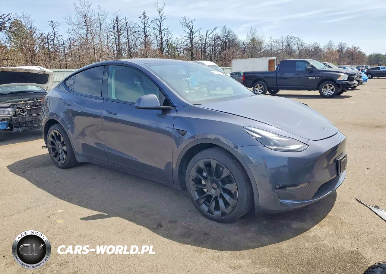 2023 Tesla Model Y VIN:7SAYGAEE2PF836805 - 4