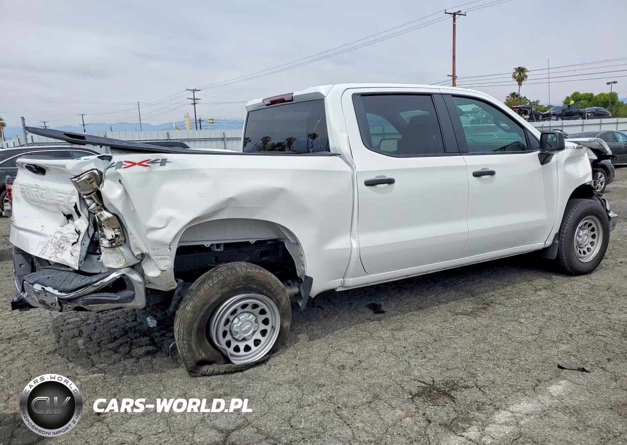 2025 Chevrolet Silverado K1500 VIN:1GCPKAEK3SZ270461 - 3